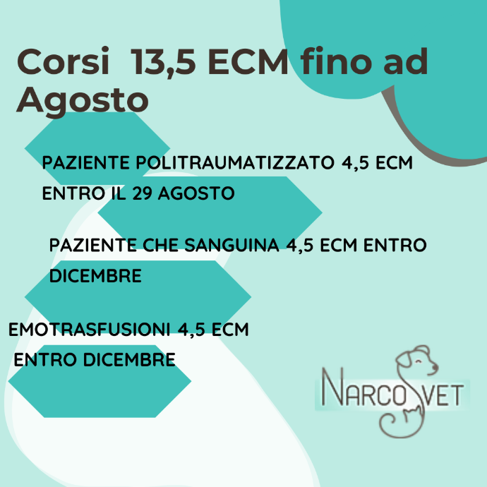 13,5  ECM Promo AGOSTO