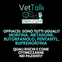 Podcast | Oppiacei: sono tutti uguali? Morfina, Metadone, Butorfanolo, Fentanyl, Buprenorfina