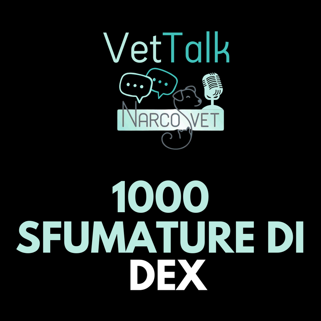 Podcast | Mille sfumature di DEX