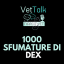 Podcast | Mille sfumature di DEX