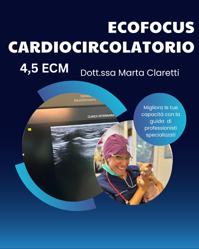4,5 ECM ECOFOCUS CARDIOCIRCOLATORIO