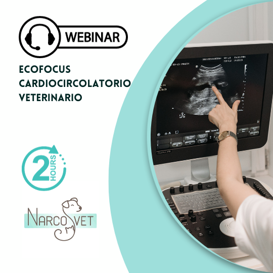 OD Ecofocus Cardiocircolatorio