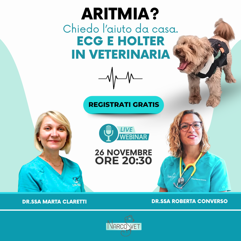 LIVE WEBINAR