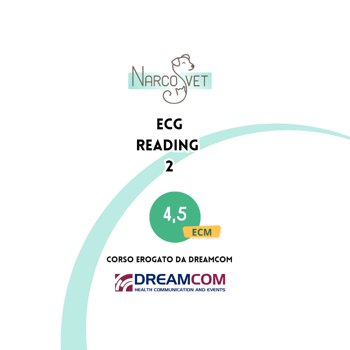 DC ECG Reading 2 (4,5 ECM)