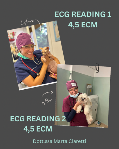 4,5 ECM ECG READING 1