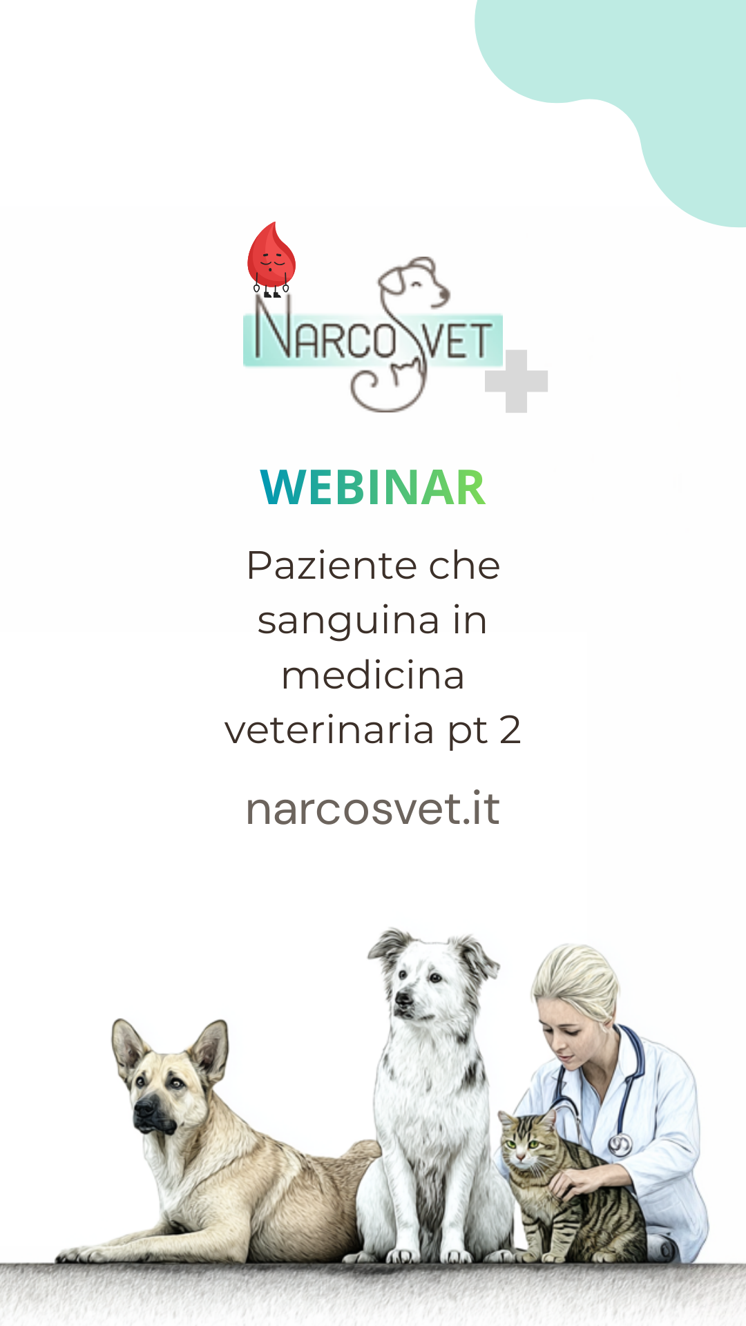 OD | Paziente che sanguina in medicina veterinaria pt 2